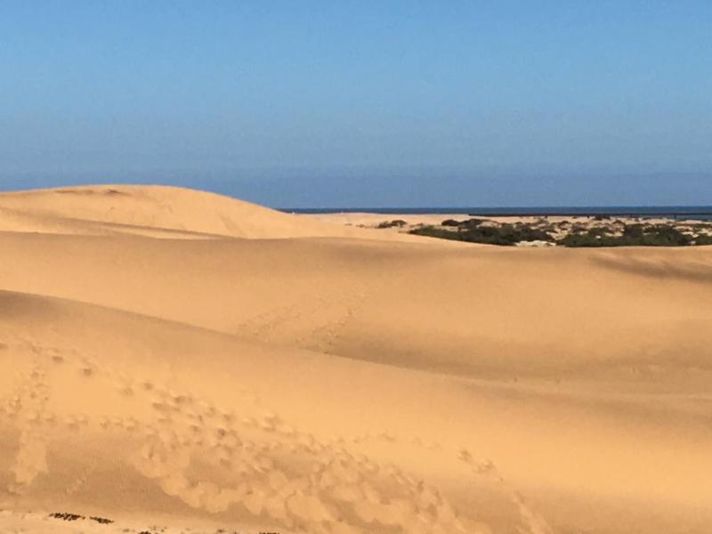 Organic Stay Guesthouse Swakopmund Buitenkant foto